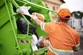 Best Shed Removal  in Sleepy Eye, MN
