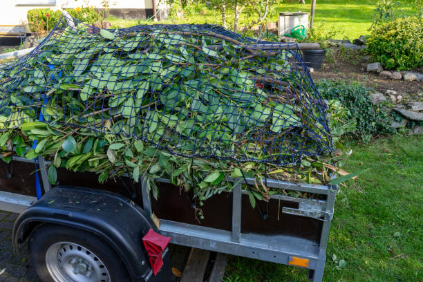 Best Residential Junk Removal  in Sleepy Eye, MN